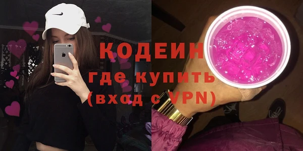 индика Беломорск
