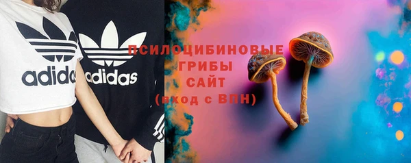 индика Беломорск