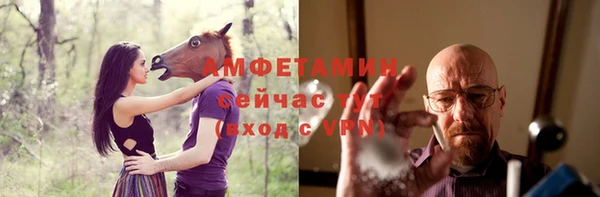 индика Беломорск