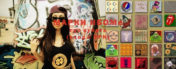 индика Беломорск