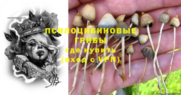 гидра Белоозёрский