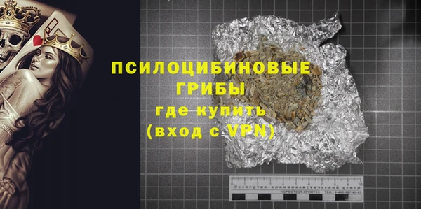 индика Беломорск