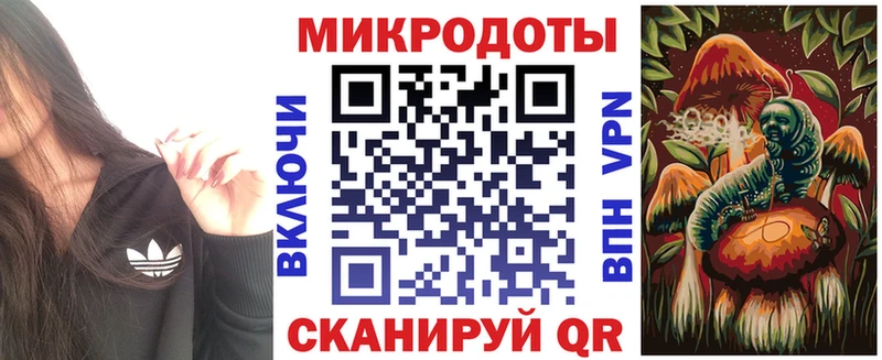 Псилоцибиновые грибы Psilocybe Константиновск